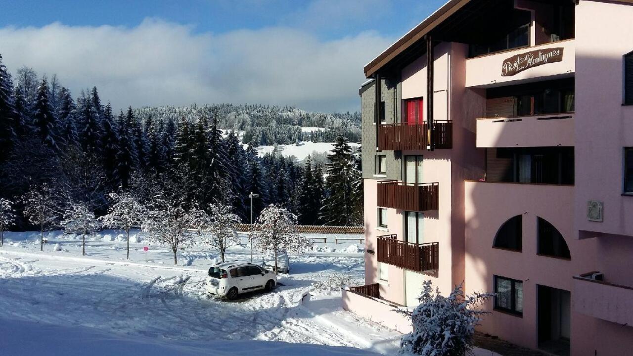 Appartement Dernier Etage Au Pied Des Pistes Hirmentaz Bellevaux Buitenkant foto